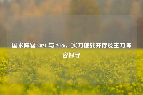 国米阵容 2021 与 2026,实力挑战并存及主力阵容探寻