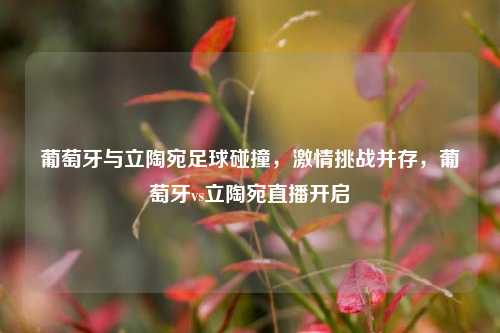 葡萄牙与立陶宛足球碰撞,激情挑战并存,葡萄牙vs立陶宛直播开启