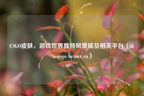 CSGO皮肤,游戏世界独特风景线及相关平台(skinscsgo hexmx cn)