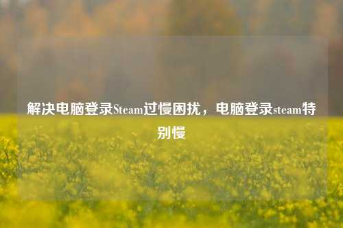 解决电脑登录Steam过慢困扰,电脑登录steam特别慢