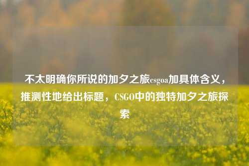 不太明确你所说的加夕之旅csgoa加具体含义,推测性地给出标题,CSGO中的独特加夕之旅探索