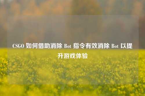 CSGO 如何借助消除 Bot 指令有效消除 Bot 以提升游戏体验