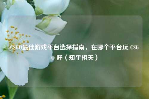 CSGO最佳游戏平台选择指南，在哪个平台玩 CSGO 好（知乎相关）