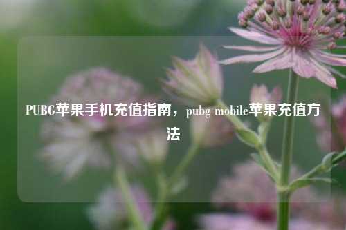 PUBG苹果手机充值指南,pubg mobile苹果充值方法