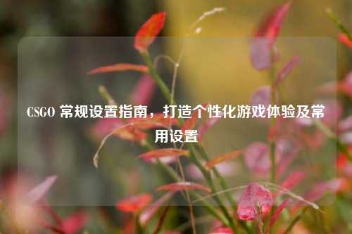 CSGO 常规设置指南，打造个性化游戏体验及常用设置