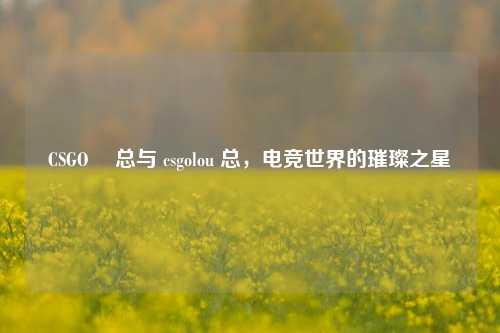 CSGO 頔总与 csgolou 总，电竞世界的璀璨之星