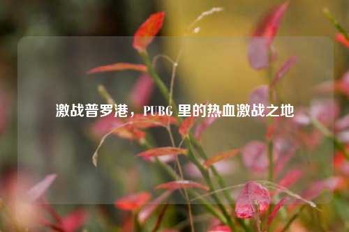 激战普罗港，PUBG 里的热血激战之地