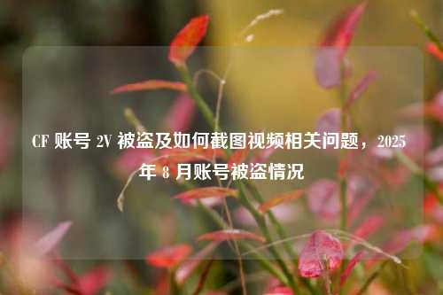 CF 账号 2V 被盗及如何截图视频相关问题,2025 年 8 月账号被盗情况