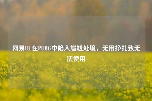 网易UU在PUBG中陷入尴尬处境，无用挣扎致无法使用