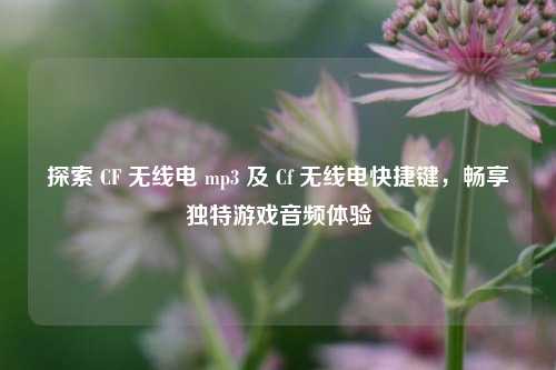 探索 CF 无线电 mp3 及 Cf 无线电快捷键,畅享独特游戏音频体验