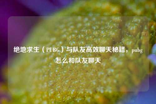 绝地求生（PUBG）与队友高效聊天秘籍，pubg怎么和队友聊天