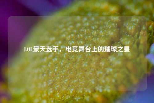 LOL景天选手，电竞舞台上的璀璨之星