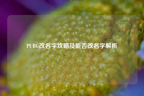 PUBG改名字攻略及能否改名字解析