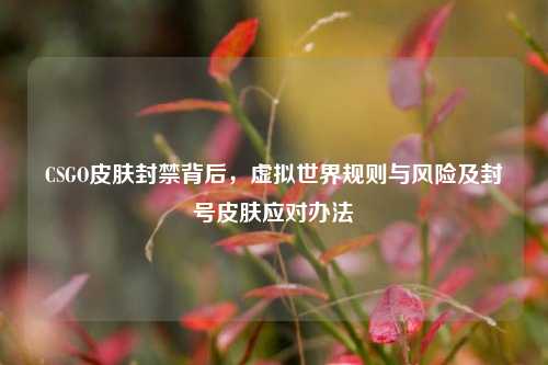 CSGO皮肤封禁背后，虚拟世界规则与风险及封号皮肤应对办法