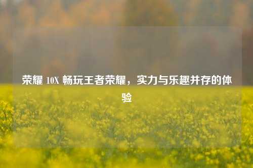 荣耀 10X 畅玩王者荣耀，实力与乐趣并存的体验
