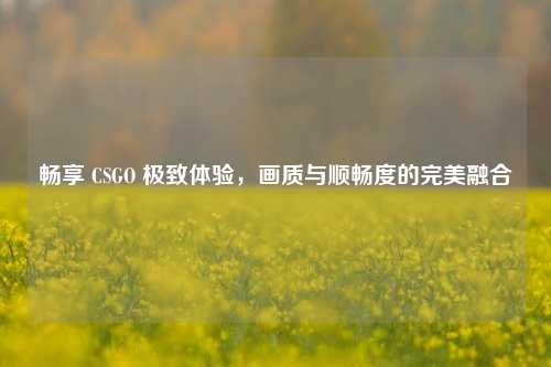 畅享 CSGO 极致体验,画质与顺畅度的完美融合