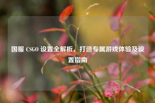 国服 CSGO 设置全解析,打造专属游戏体验及设置指南
