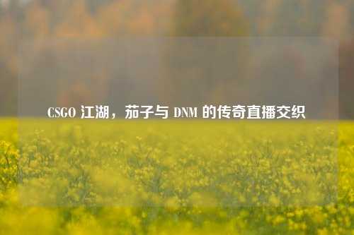 CSGO 江湖,茄子与 DNM 的传奇直播交织
