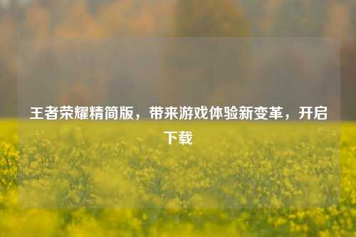 王者荣耀精简版，带来游戏体验新变革，开启下载