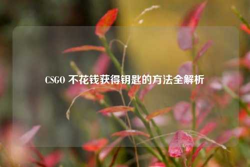 CSGO 不花钱获得钥匙的方法全解析