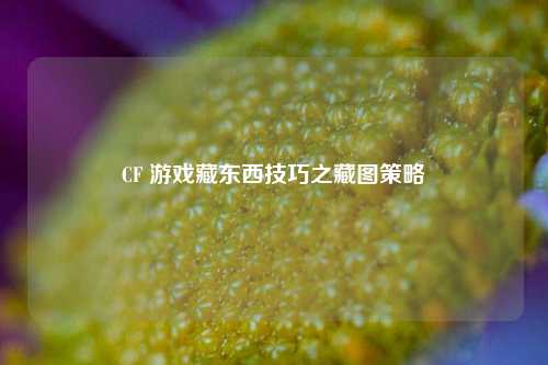 CF 游戏藏东西技巧之藏图策略