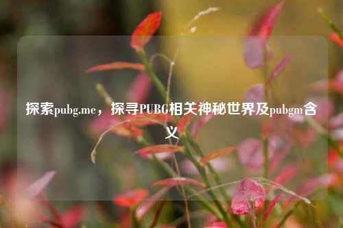 探索pubg.me,探寻PUBG相关神秘世界及pubgm含义