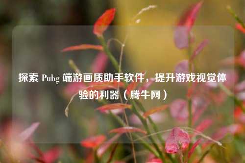 探索 Pubg 端游画质助手软件，提升游戏视觉体验的利器（腾牛网）
