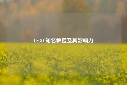 CSGO 知名教授及其影响力