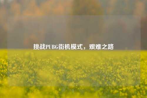 挑战PUBG街机模式，艰难之路