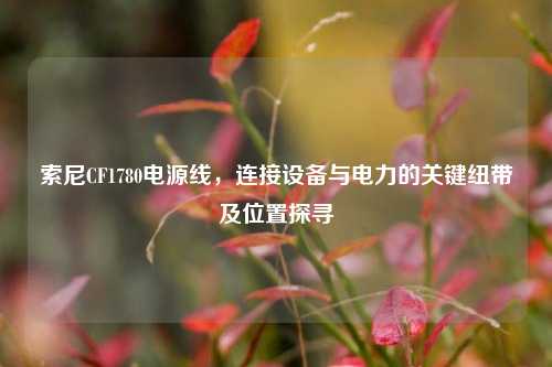 索尼CF1780电源线，连接设备与电力的关键纽带及位置探寻