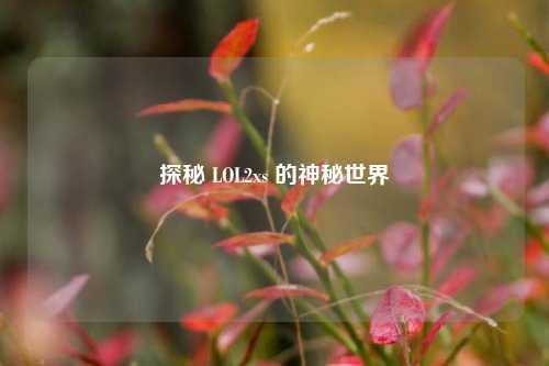 探秘 LOL2xs 的神秘世界