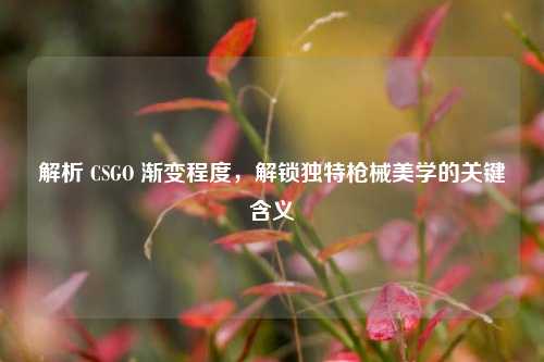 解析 CSGO 渐变程度,解锁独特枪械美学的关键含义