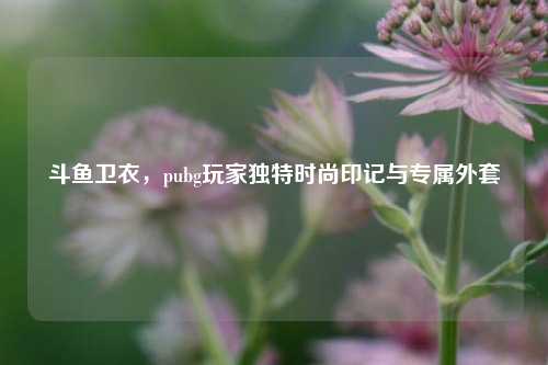 斗鱼卫衣,pubg玩家独特时尚印记与专属外套