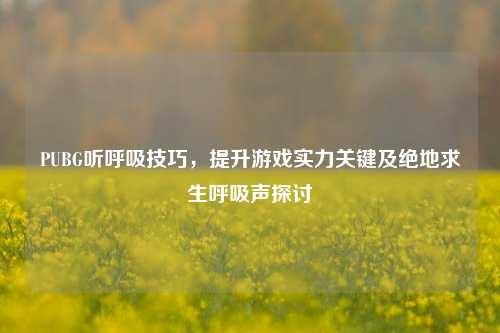 PUBG听呼吸技巧，提升游戏实力关键及绝地求生呼吸声探讨