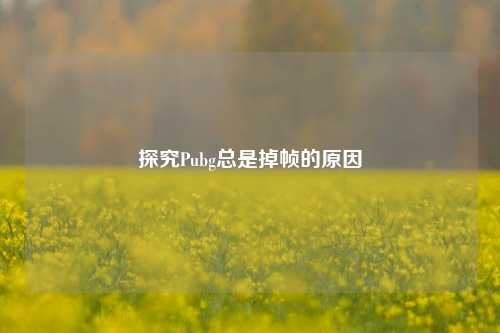 探究Pubg总是掉帧的原因