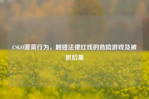 CSGO菠菜行为,触碰法律红线的危险游戏及被抓后果