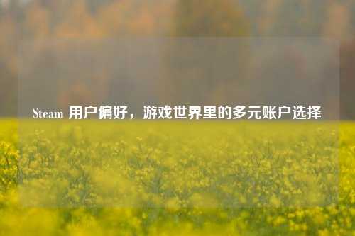 Steam 用户偏好,游戏世界里的多元账户选择