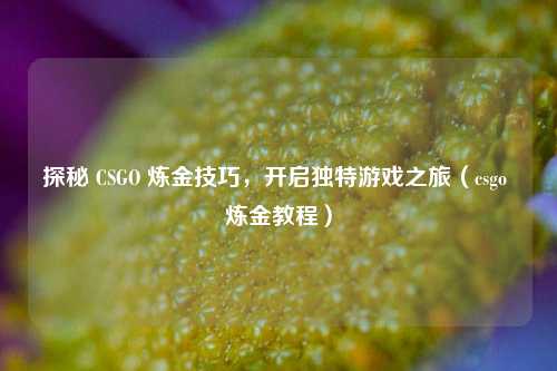 探秘 CSGO 炼金技巧，开启独特游戏之旅（csgo 炼金教程）
