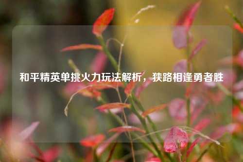 和平精英单挑火力玩法解析,狭路相逢勇者胜