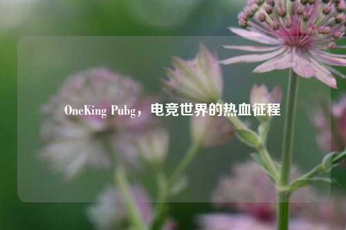 OneKing Pubg，电竞世界的热血征程