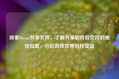 探索Steam共享文件，了解共享软件后文件的查找位置，开启游戏世界别样交流
