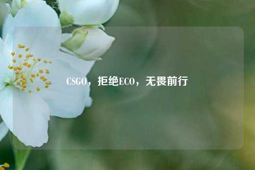 CSGO，拒绝ECO，无畏前行