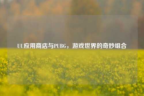 UU应用商店与PUBG，游戏世界的奇妙组合