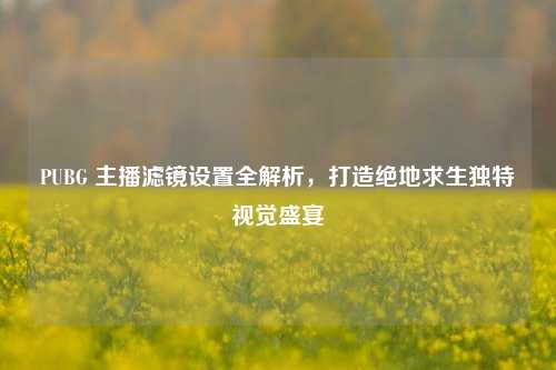 PUBG 主播滤镜设置全解析，打造绝地求生独特视觉盛宴
