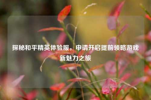 探秘和平精英体验服，申请开启提前领略游戏新魅力之旅