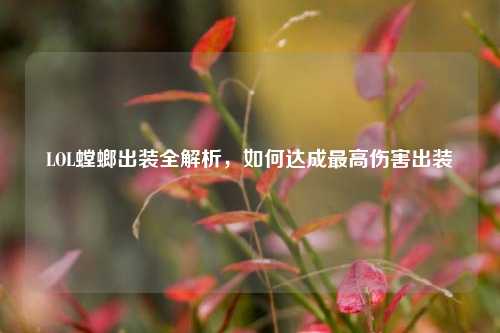 LOL螳螂出装全解析,如何达成最高伤害出装