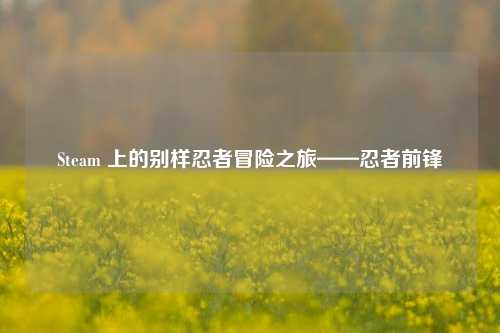 Steam 上的别样忍者冒险之旅——忍者前锋