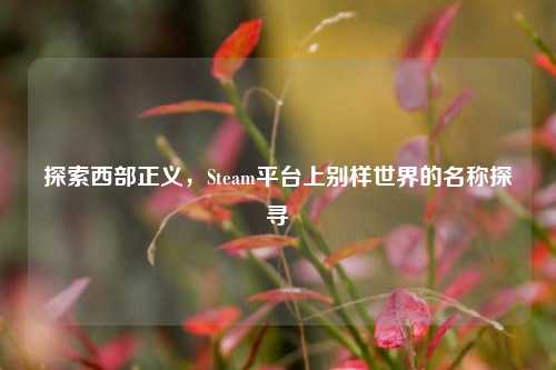 探索西部正义,Steam平台上别样世界的名称探寻