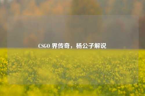 CSGO 界传奇,杨公子解说