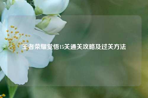 王者荣耀觉悟15关通关攻略及过关方法